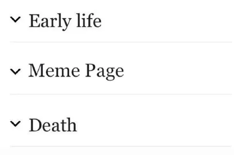 Early Life Meme Page Death