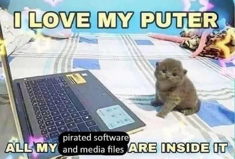 Kitten Loves Its Computer