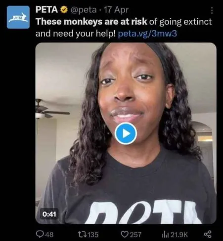 These Monkeys Need Your Help