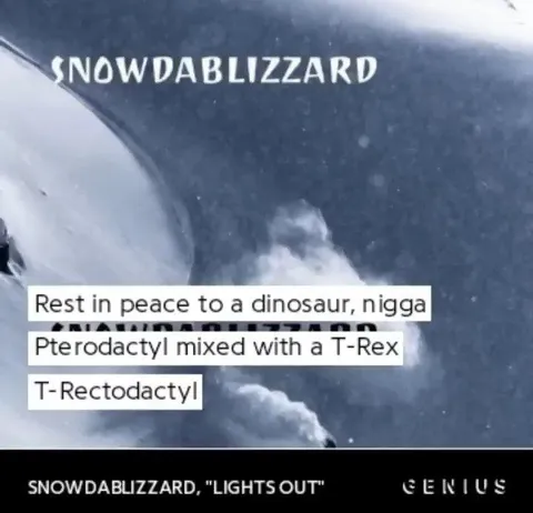 T-Rectodactyl Dinosaur Pun