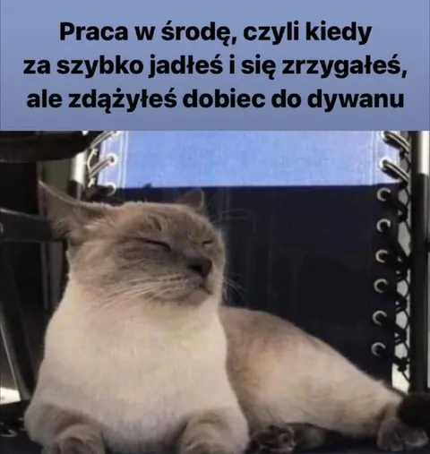 Praca w środę po obiedzie