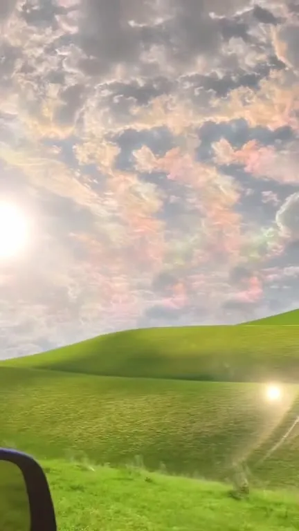 Windows XP Bliss на ходу