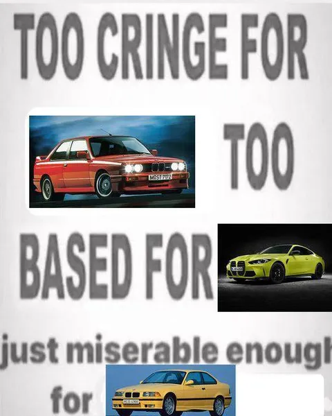 Too Cringe for Too Based