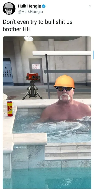 Hulk Hogan Pool Interrogation