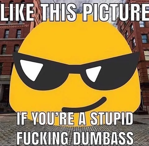Like This Picture If You're Stupid