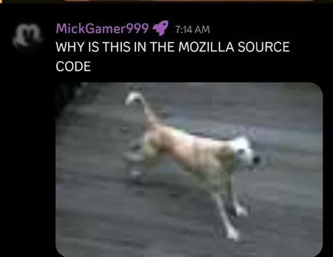 Why Is This in Mozilla Source Code