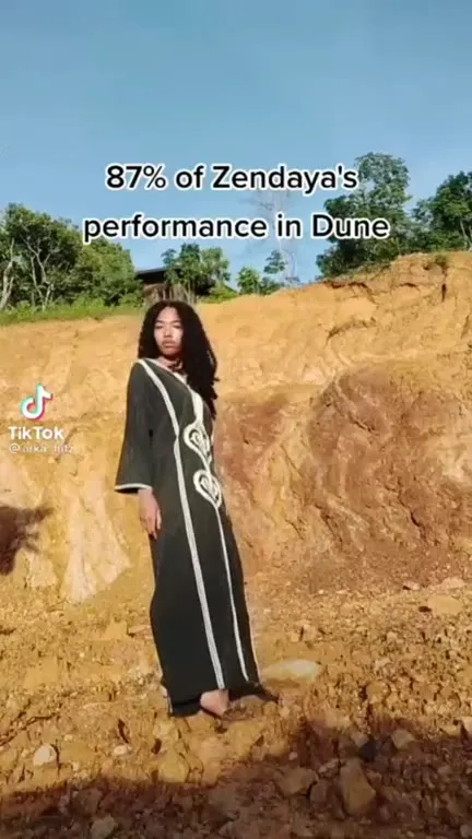 87% of Zendaya in Dune