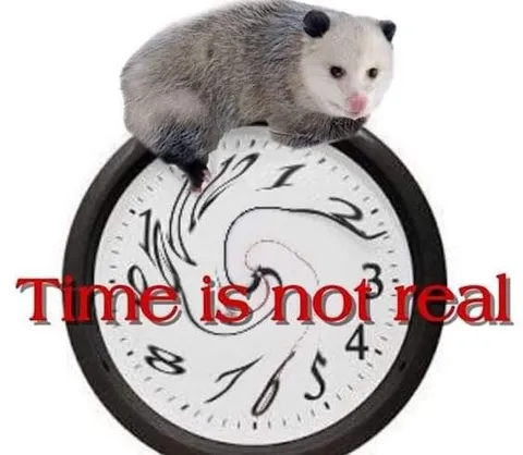 Time Is Not Real Possum