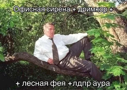 Офисная сирена в лесу