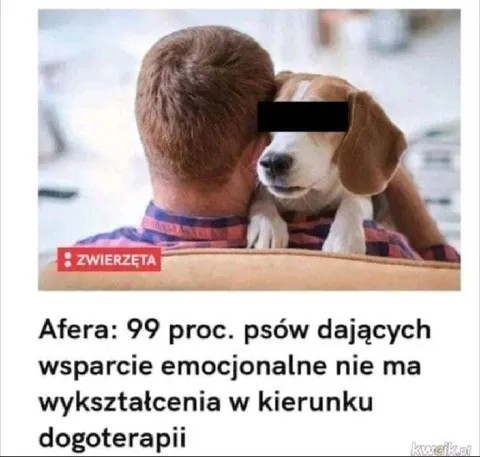 Psy bez wykształcenia dogoterapeutycznego