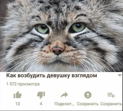 Как возбудить девушку взглядом