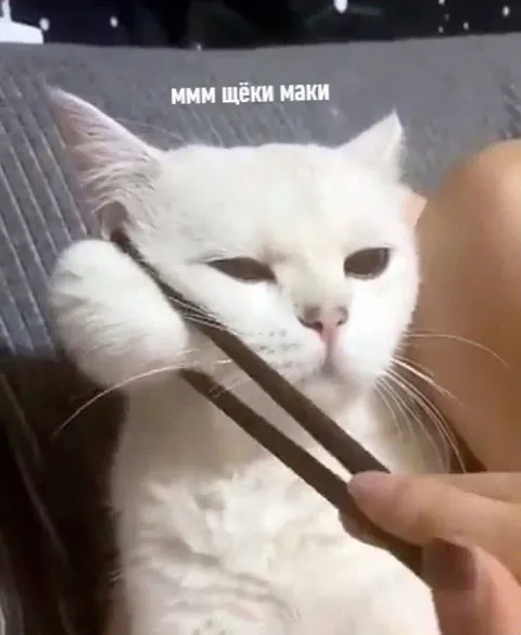 МММ, щёки маки