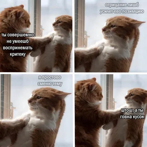 Коты не умеют принимать критику