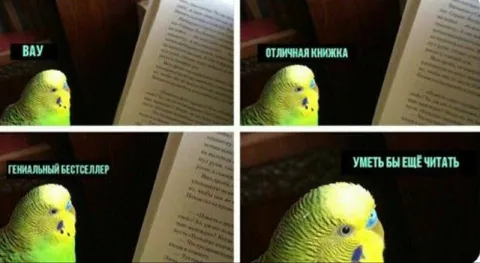 Попугай хвалит книгу, но не читает