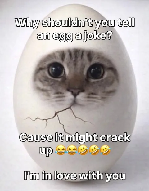 Cat Egg Crack Joke