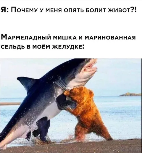 Мармеладный мишка и сельдь