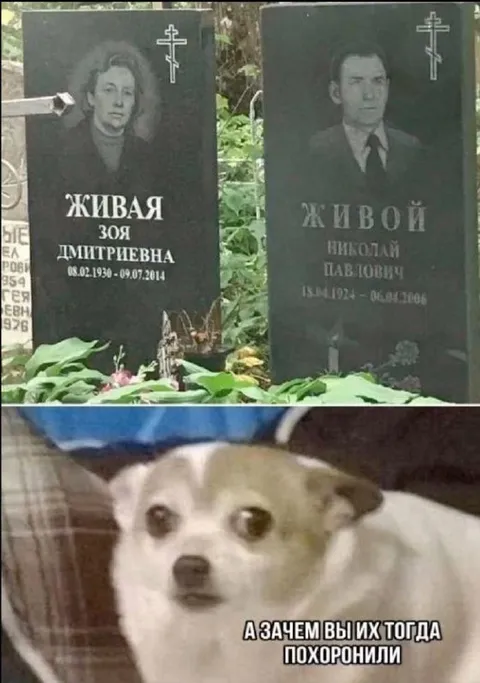 А зачем вы их похоронили