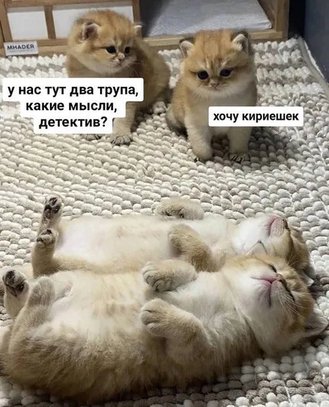 Два трупа и кириешки