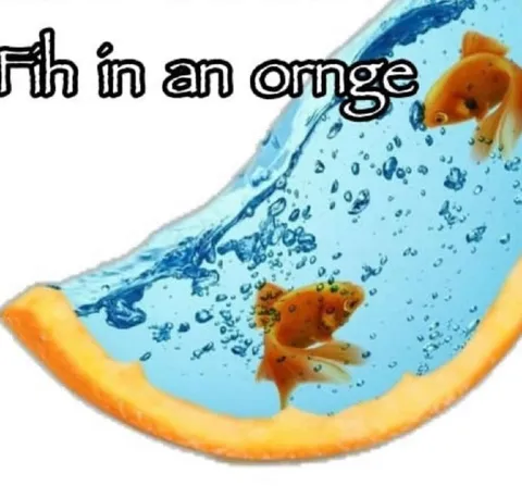 Fish in an Orange