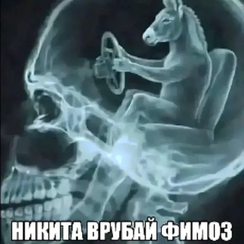 Никита врубай фимоз