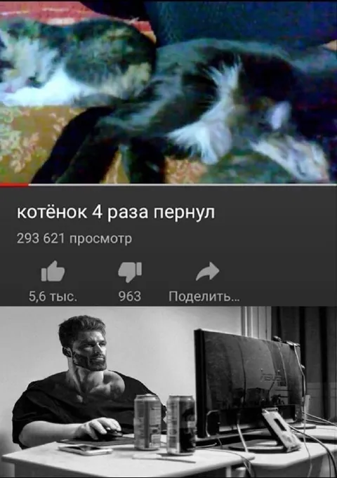 Котёнок четыре раза пернул