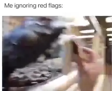 Me Ignoring Venomous Red Flags