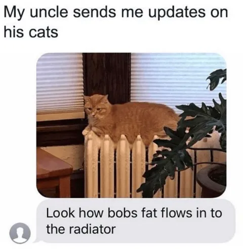 Uncle Sends Cat Updates