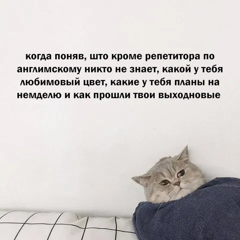 Репетитор знает о тебе всё