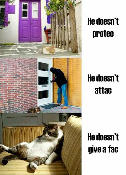 He Doesn’t Protec Attac Fac