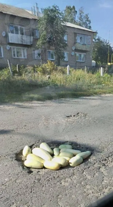 Огурцы вместо ремонта дороги