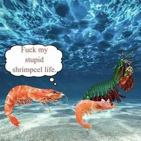 Fuck My Stupid Shrimpcel Life