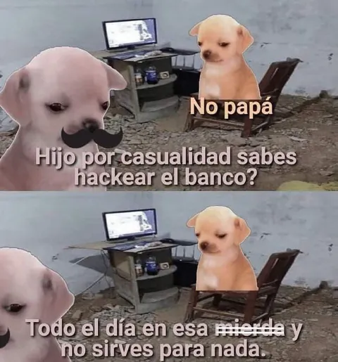 Perro hacker inútil