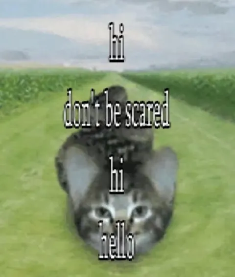 Don't Be Scared Cat