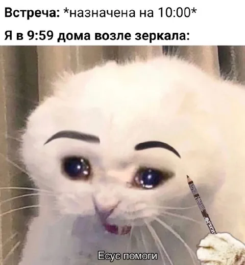 Кот у зеркала перед встречей