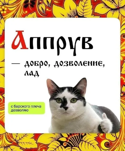 Кот с барского плеча разрешает