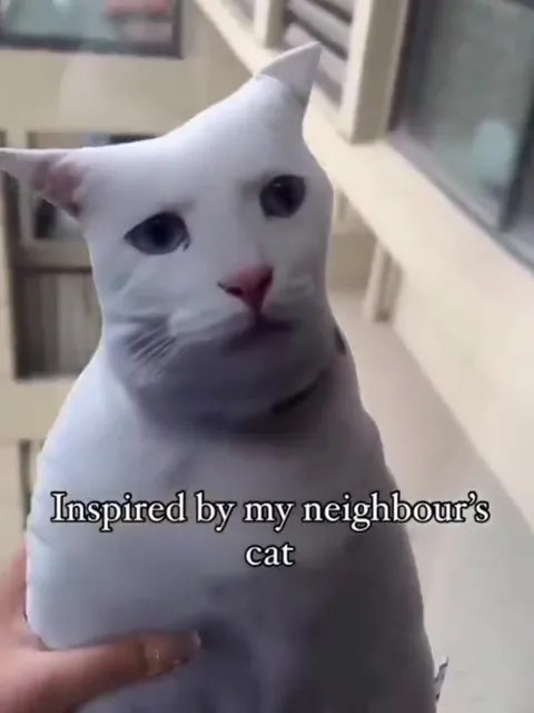 Inspired by My Neighbour's Cat