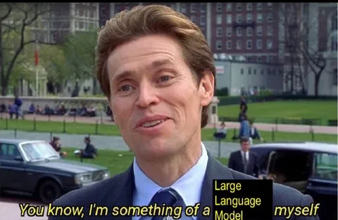 Something of a Large Language Model