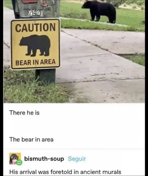 The Bear in Area