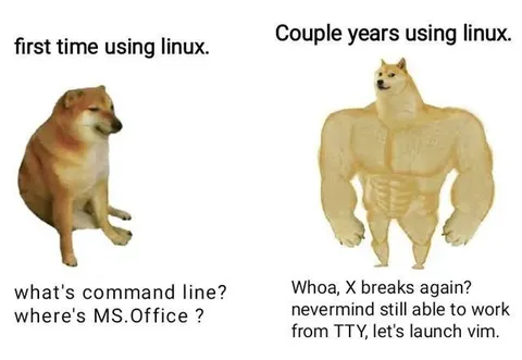 Doge Using Linux