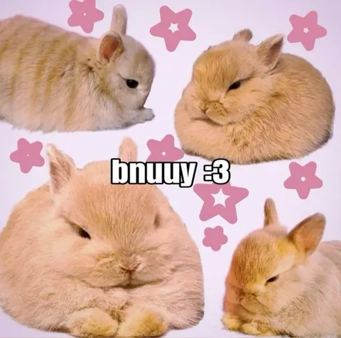 Cute Bunnies Saying Bnuy