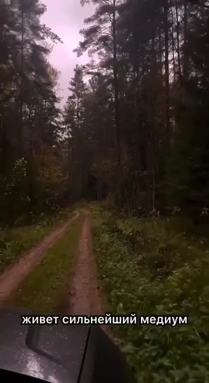 Сильнейший медиум в лесу