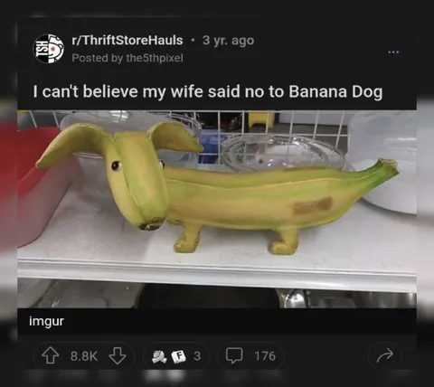 Wife Said No to Banana Dog