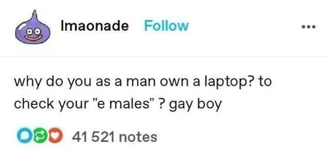 Why Do Men Own Laptops