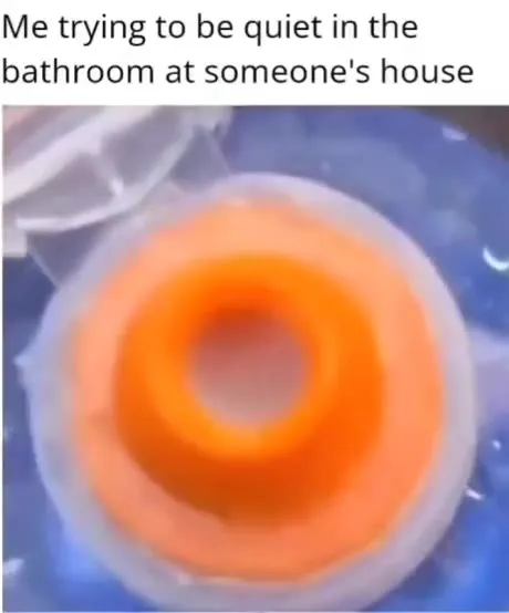 Trying to Be Quiet in Someone's Bathroom