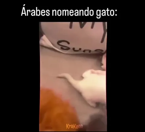 Árabes nomeando gato