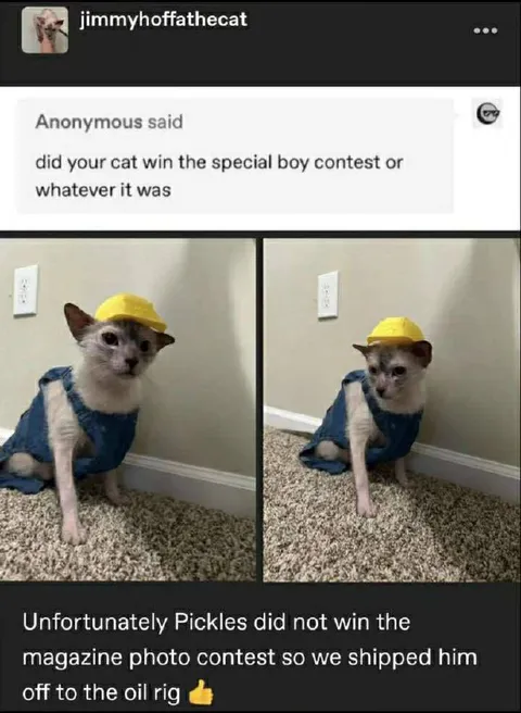 Pickles Sent to the Oil Rig