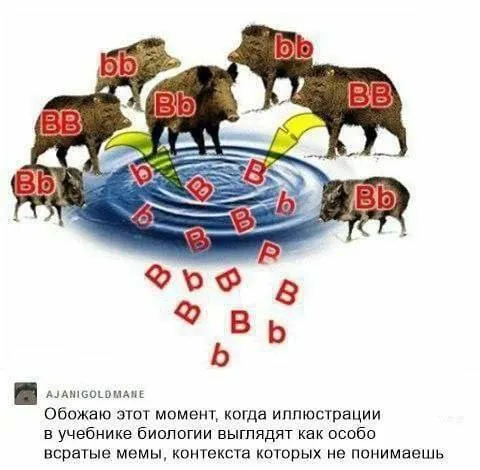 Биология выглядит как мем