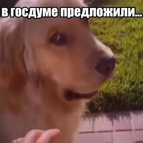 Когда предложили в Госдуме