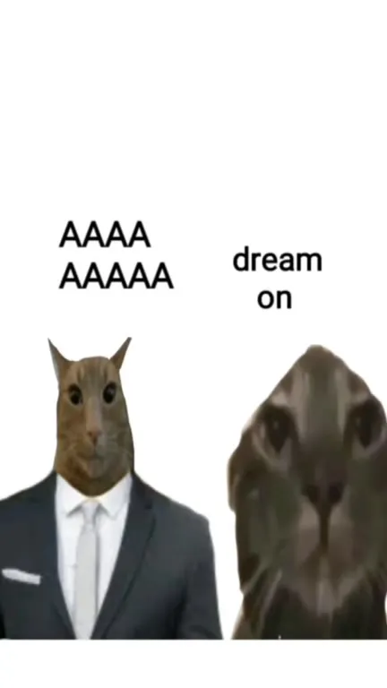 Cats Sing Dream On