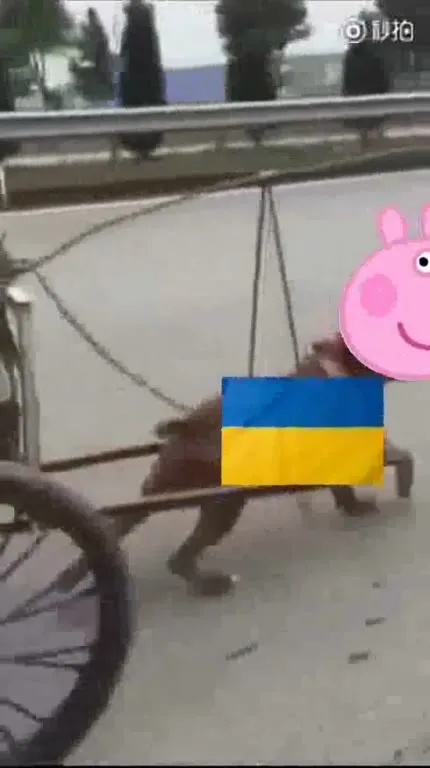 Virtus et Honor на велосипеде